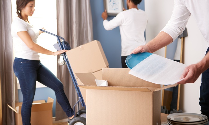 Expert Moving Services